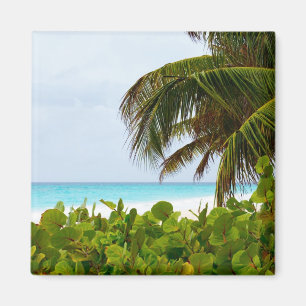 CARIBBEAN BEACH - BARBADOS MAGNET