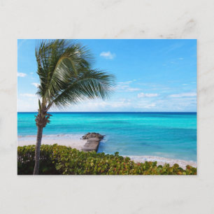 Caribbean Beach Postcard