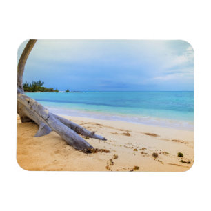 Caribbean Beachscape Magnet