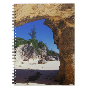 Caribbean, Bermuda, Tucker's Town. Natural Notebook