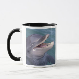 Caribbean, Bottlenose dolphin Mug