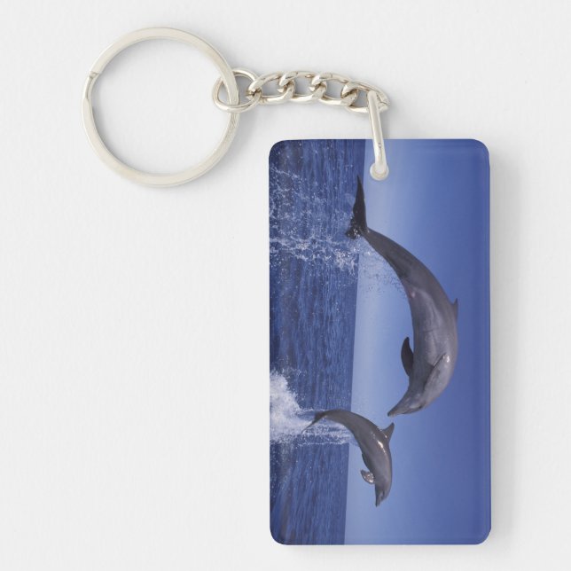 Caribbean, Bottlenose dolphins Key Ring (Front)