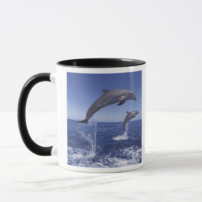 Caribbean, Bottlenose dolphins Mug (Left)
