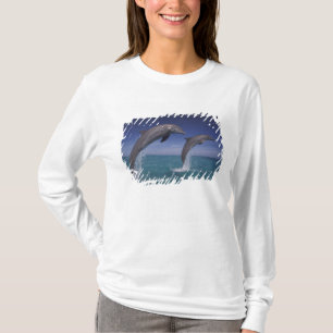 Caribbean, Bottlenose dolphins Tursiops T-Shirt