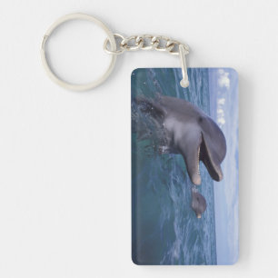 Caribbean, Bottlenose Key Ring
