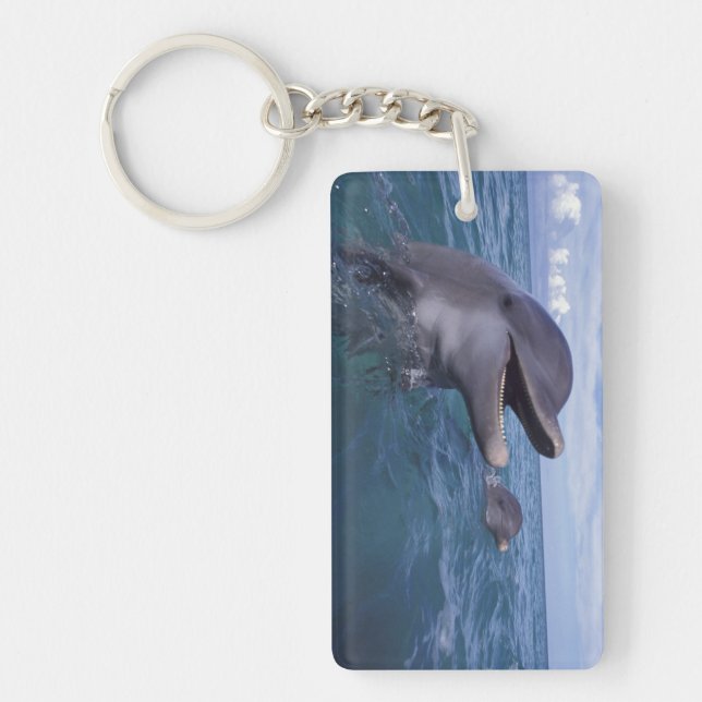 Caribbean, Bottlenose Key Ring (Front)