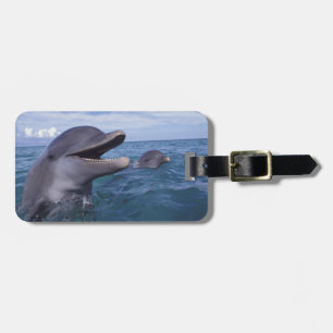Caribbean, Bottlenose Luggage Tag