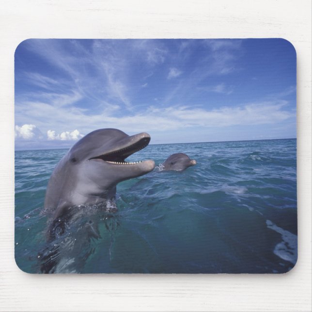 Caribbean, Bottlenose Mouse Mat (Front)