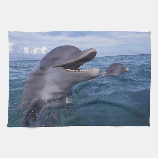 Caribbean, Bottlenose Tea Towel (Horizontal)