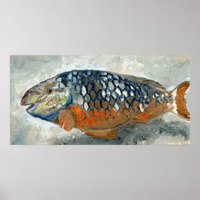 Caribbean Fish Orange and Blue Poster (Front)