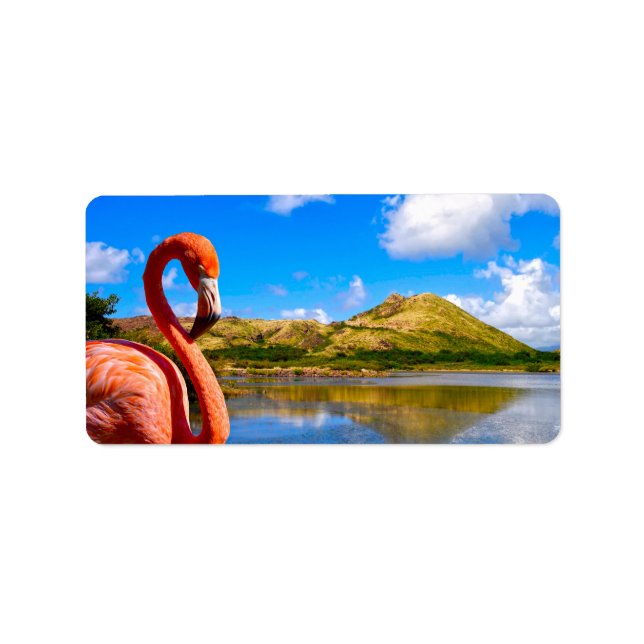 Caribbean flamingo in St kitts Label (Front)