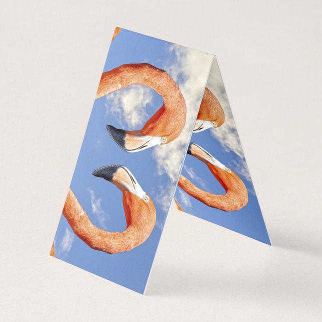 Caribbean flamingo love heart (Front)