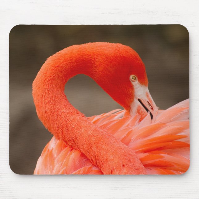 Caribbean flamingo mouse mat (Front)