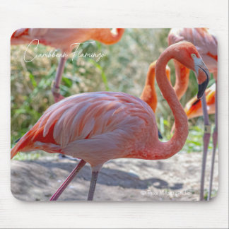 Caribbean Flamingo Mouse Mat