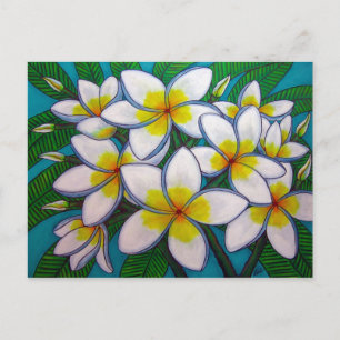 Caribbean Gems Post Card