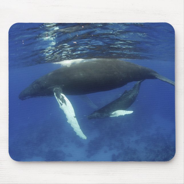 Caribbean, Greater Antilles archipelago, Mouse Mat (Front)