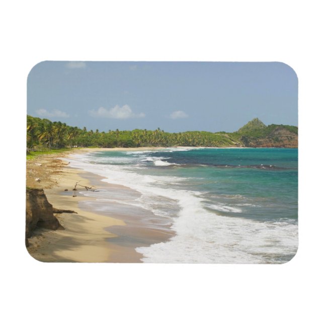 Caribbean, GRENADA, East Coast, Grenada Bay, Magnet (Horizontal)