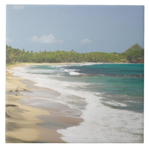 Caribbean, GRENADA, East Coast, Grenada Bay, Tile