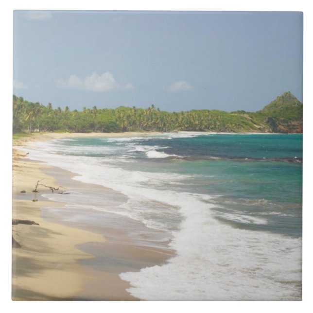Caribbean, GRENADA, East Coast, Grenada Bay, Tile (Front)
