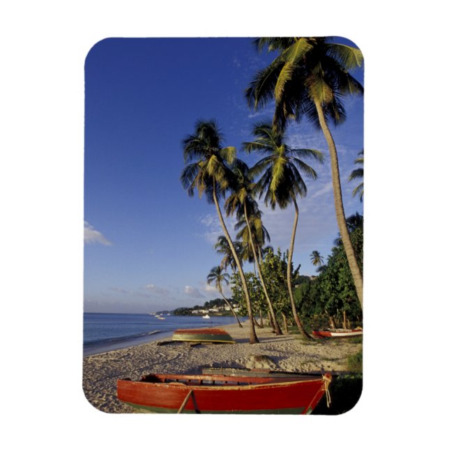CARIBBEAN, Grenada, St. George, Boats on palm Magnet (Vertical)
