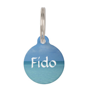 Caribbean Horizon Tropical Turquoise Blue Pet Tag