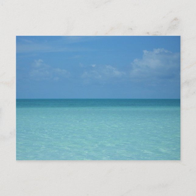 Caribbean Horizon Tropical Turquoise Blue Postcard (Front)