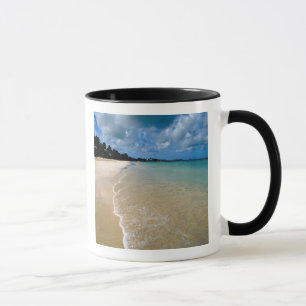 Caribbean, Leeward Islands, Antigua, Dickenson Mug