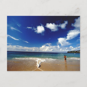 Caribbean, Lesser Antilles, West Indies, 2 Postcard