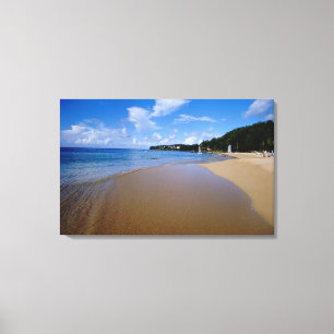 Caribbean, Lesser Antilles, West Indies, 3 Canvas Print