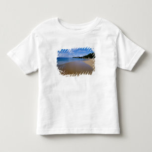 Caribbean, Lesser Antilles, West Indies, 3 Toddler T-Shirt