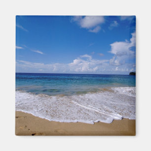 Caribbean, Lesser Antilles, West Indies, 4 Magnet