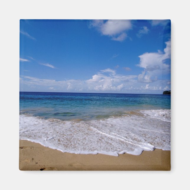 Caribbean, Lesser Antilles, West Indies, 4 Magnet (Front)