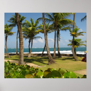Caribbean Ocean View Puerto Rico - Artby Galina Poster