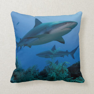 Caribbean Reef Shark Jardines de la Reina Cushion