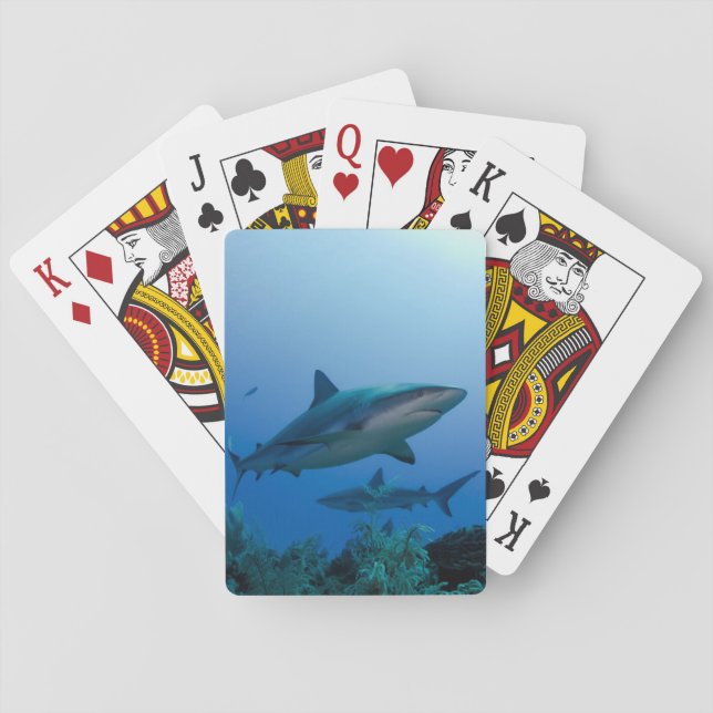 Caribbean Reef Shark Jardines de la Reina Playing Cards (Back)