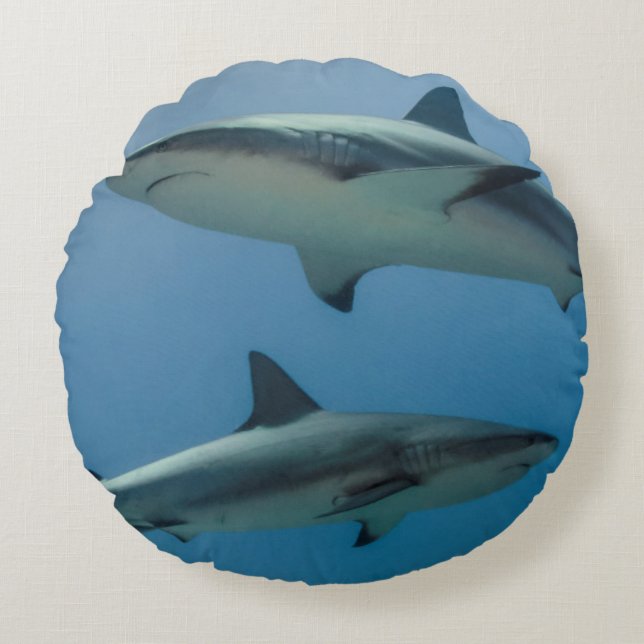 Caribbean Reef Shark Round Cushion (Front)