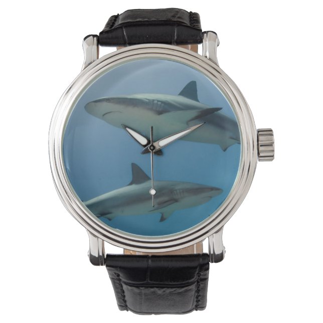 Caribbean Reef Shark Watch (Front)