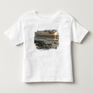 Caribbean Sea, Cayman Islands.  Crashing waves 2 Toddler T-Shirt