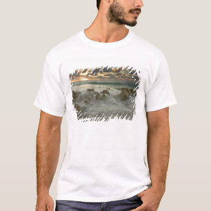 Caribbean Sea, Cayman Islands. Crashing waves 3 T-Shirt