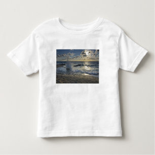 Caribbean Sea, Cayman Islands.  Crashing waves Toddler T-Shirt