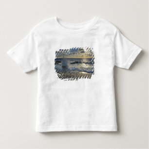 Caribbean Sea, Cayman Islands.  Crashing waves Toddler T-Shirt