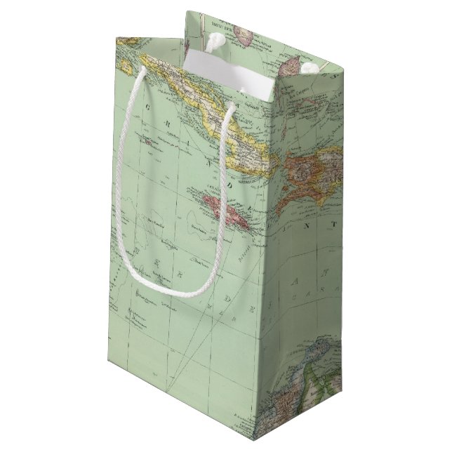 Caribbean Small Gift Bag (Back Angled)