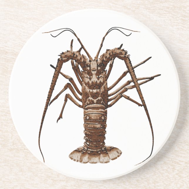 Caribbean Spiny Lobster Coaster (Front)