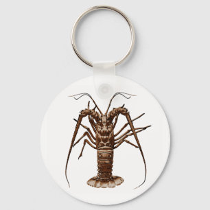 Caribbean Spiny Lobster Key Ring
