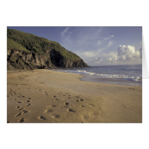 Caribbean, St. Kitts. Footprints on Atlantic