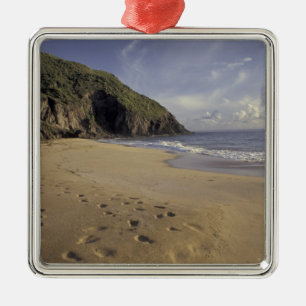 Caribbean, St. Kitts. Footprints on Atlantic Metal Tree Decoration