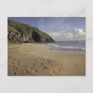 Caribbean, St. Kitts. Footprints on Atlantic Postcard