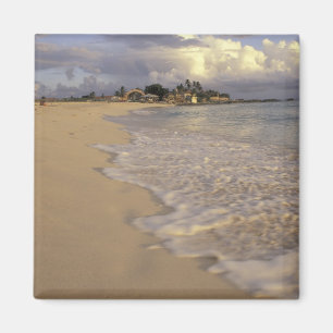 Caribbean, St. Martin (St. Maarten). Maho Bay Magnet