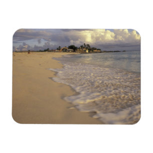 Caribbean, St. Martin (St. Maarten). Maho Bay Magnet