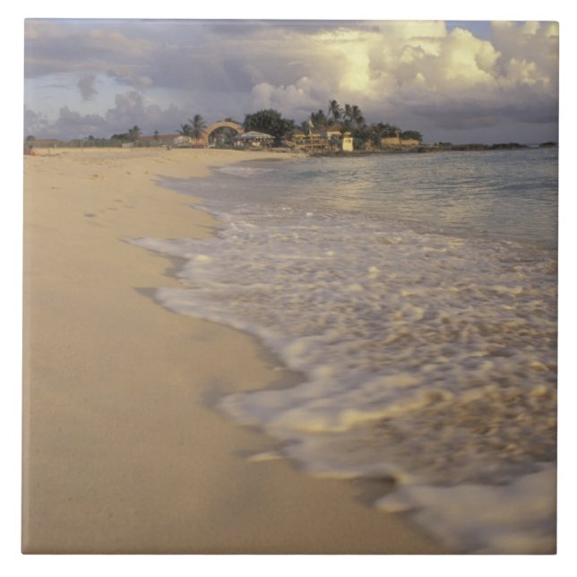Caribbean, St. Martin (St. Maarten). Maho Bay Tile (Front)